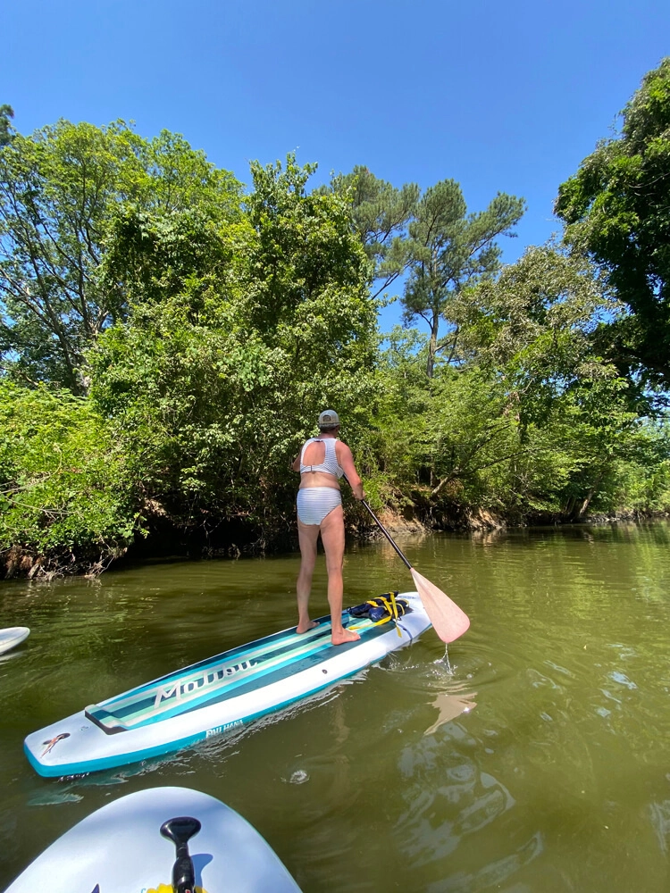 Paddleboard Tours & Rentals - 3
